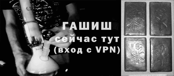 индика Дмитриев