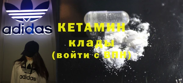 индика Дмитриев