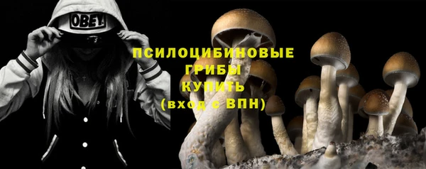 гашишное масло Дмитровск