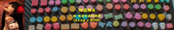 индика Дмитриев