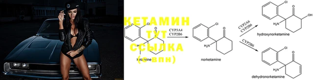 индика Дмитриев