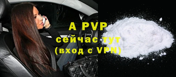 индика Дмитриев