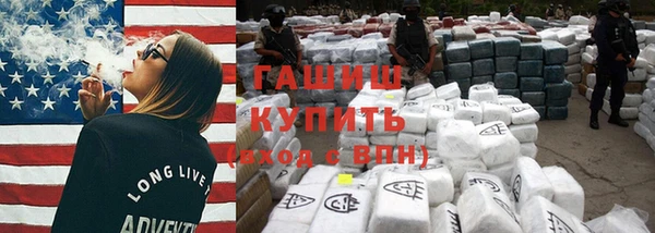 индика Дмитриев