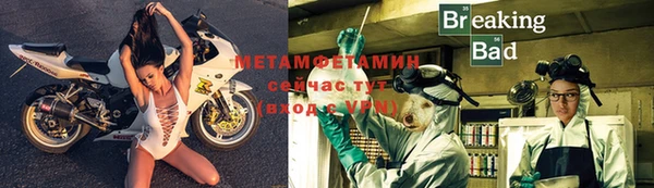 индика Дмитриев