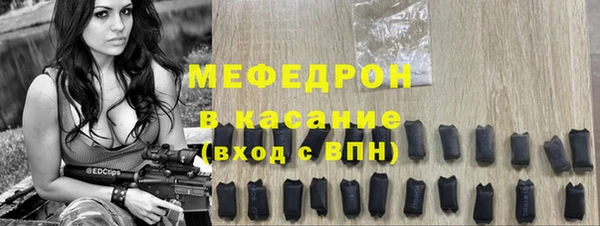 индика Дмитриев