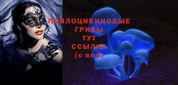 гашик Елабуга
