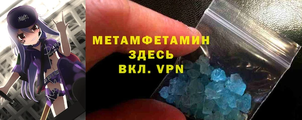 индика Дмитриев