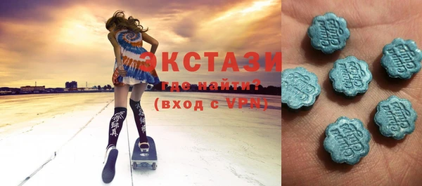 индика Дмитриев